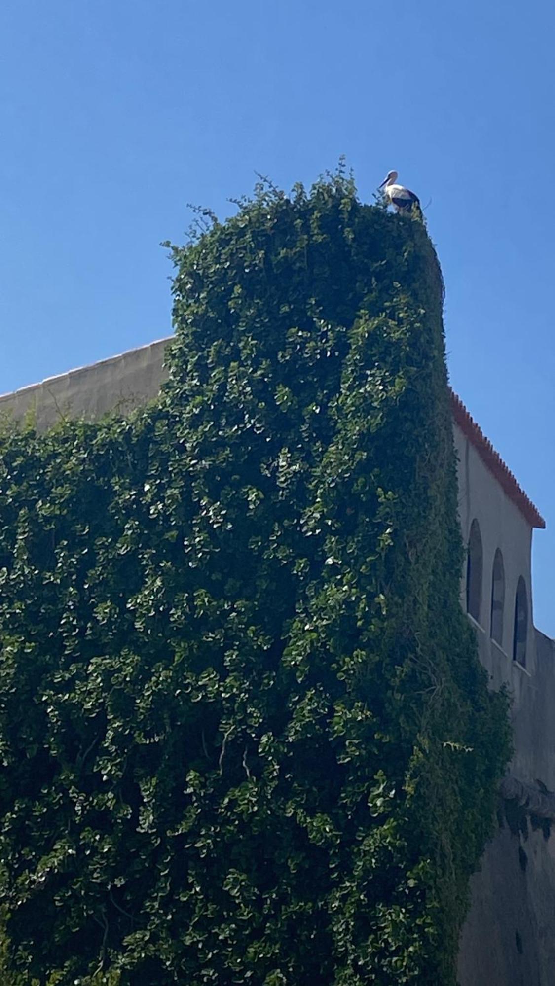 Casa Das Marias 米尔芳提斯城 外观 照片